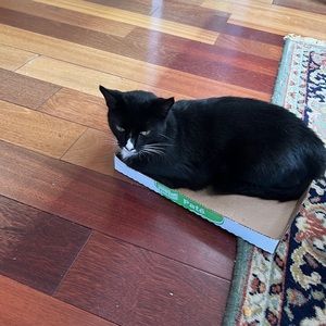 Meet your Posher, Donna